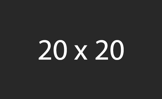 20x20